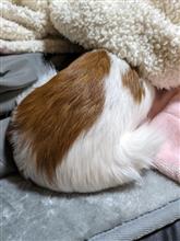 坂内 坂内