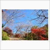 小原ふれあい公園と天王さん公 ...