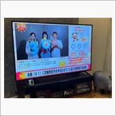 今週は昨日