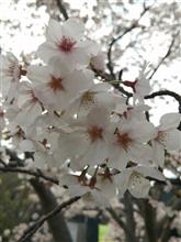 涙と恐怖の３月！