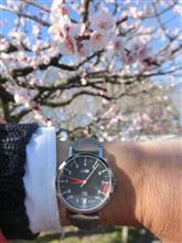 今年も行けました～