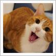 5歳になりました！