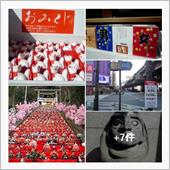 早春 房総の旅 　圧巻 勝浦 ...