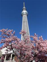 千葉＆東京　家族旅行♪