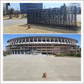 明治神宮外苑＆都立明治公園ぶ ...