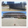 明治神宮外苑＆都立明治公園ぶらり🐶✨✨