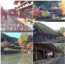 飛騨の里・民俗村そぞろ歩き 癒しの空間・鎮守の森　