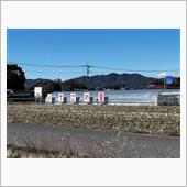 栃木でいちご狩り