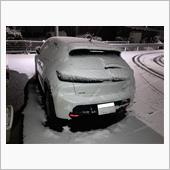 最後の雪になってほしい