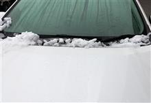 チョッと雪が降った さいたま市！