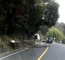 通勤路はデンジャラスな駐車場