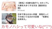SNS広告(ΦωΦ) SNS広告(ΦωΦ)