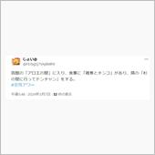 このXのポストの元ネタ動画を ...