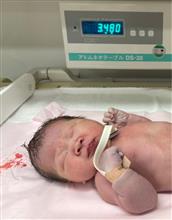 初孫！男の子で！