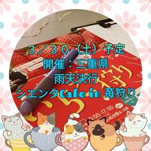 シエンタCafeIn🍓狩り締め切り近いよ〜