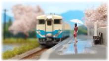 今日の一枚…🌸