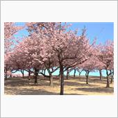 伊勢崎みらい公園