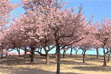 伊勢崎みらい公園