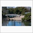 お散歩記録：浜離宮恩賜庭園（東京都中央区）