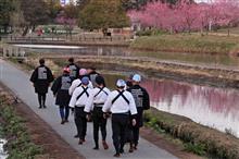 古河桃まつり 手筒花火編