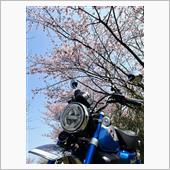 お目覚めの春♪