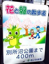 花と緑の散歩道の桜並木♪