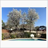  Spring has co ...