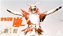 春の嵐