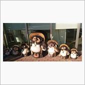 家庭菜園のカブが大豊作だった ...