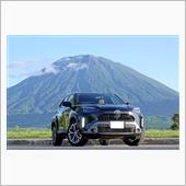 [売却しました]トヨタ「ヤリ ...