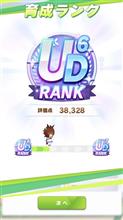 UD6 UD6