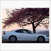 先週の桜とシミュレータ