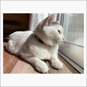 取り敢えず^ - ^晴れ☀️