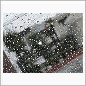 冷たい雨☂️