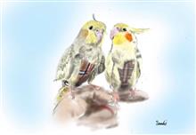 素敵な絵🐥🐥