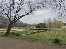 　大宮第２公園　散歩。