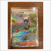 ポケカ　🎯