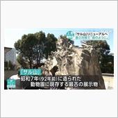 猿が植えた樹の枝を伝って上野 ...