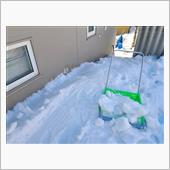 これも「なごり雪」と言うそう ...