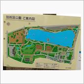 別所沼公園の桜が咲きました♪