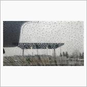 ガラコが良く雨を弾いてる？