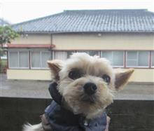 春の嵐🌀☔の金曜日🐶