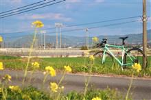 BMXに興味が湧いた件 BMXに興味が湧いた件
