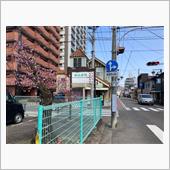 梅になかつね