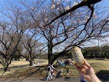 前哨戦 所沢 航空公園 ソメイヨシノ かろうじて 開花 埼玉県 