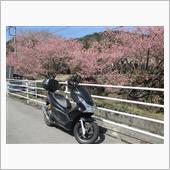 PCXでおさんぽ