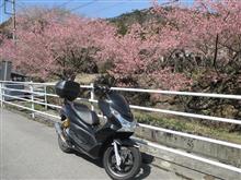 PCXでおさんぽ