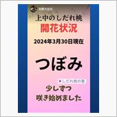 1000円に…負けたような気 ...