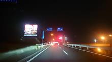 帰ってきました 帰ってきました