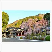 身延山・静岡へドライブ